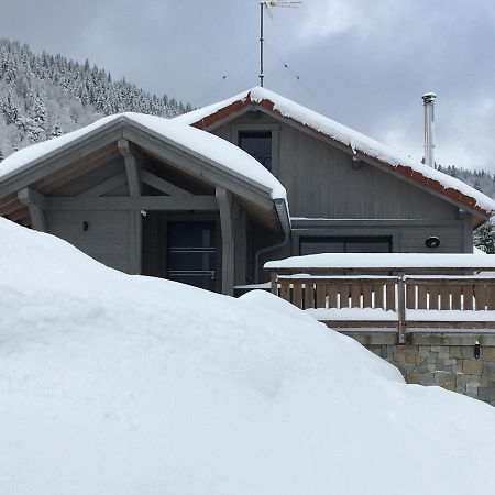 Chalet Bel Horizon La Montagne Des Lamas Ла-Бресс Экстерьер фото