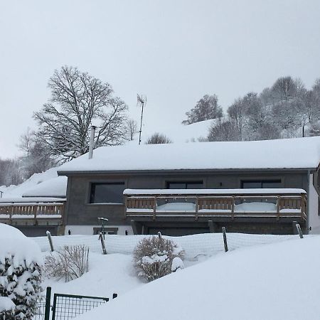 Chalet Bel Horizon La Montagne Des Lamas Ла-Бресс Экстерьер фото