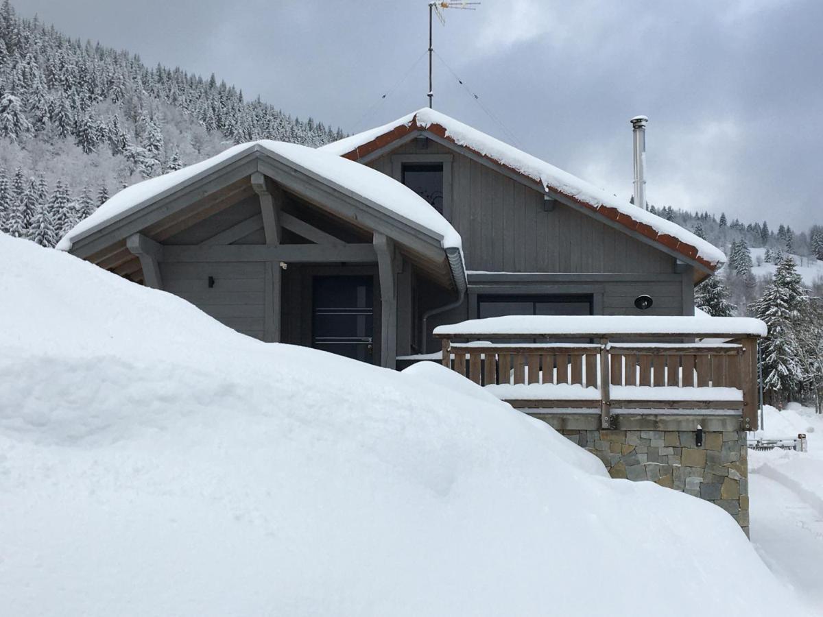 Chalet Bel Horizon La Montagne Des Lamas Ла-Бресс Экстерьер фото