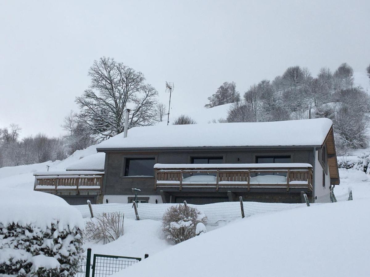 Chalet Bel Horizon La Montagne Des Lamas Ла-Бресс Экстерьер фото