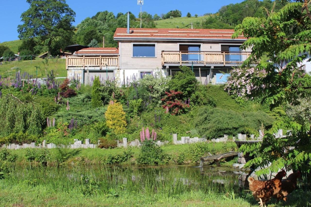 Chalet Bel Horizon La Montagne Des Lamas Ла-Бресс Экстерьер фото