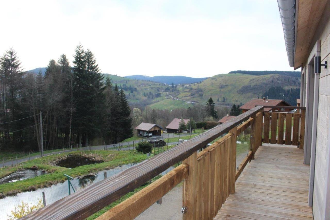 Chalet Bel Horizon La Montagne Des Lamas Ла-Бресс Экстерьер фото